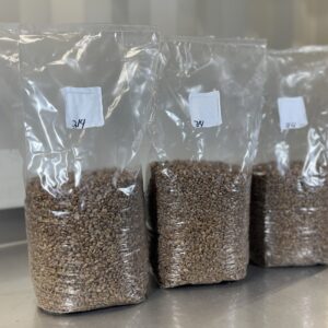 Organic sterilized rye for mycology