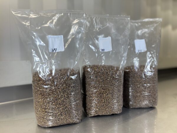 Organic sterilized rye for mycology